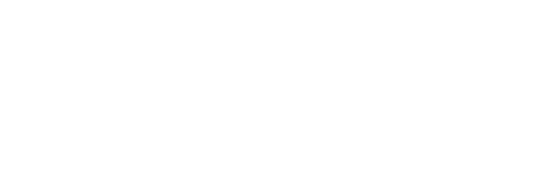 Logo Whaticket Partner