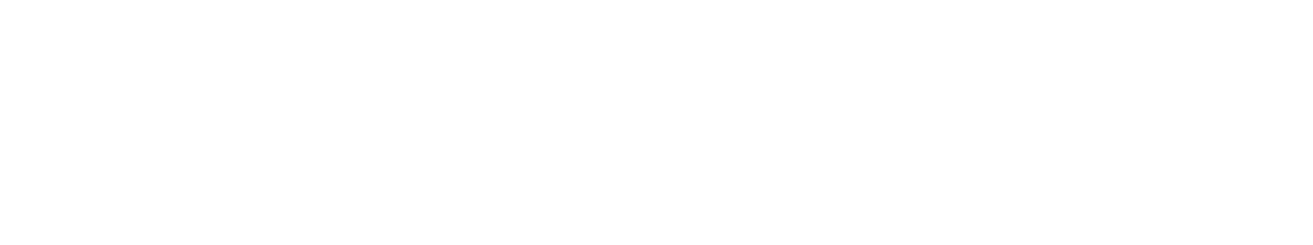 Logo Whaticket Partner