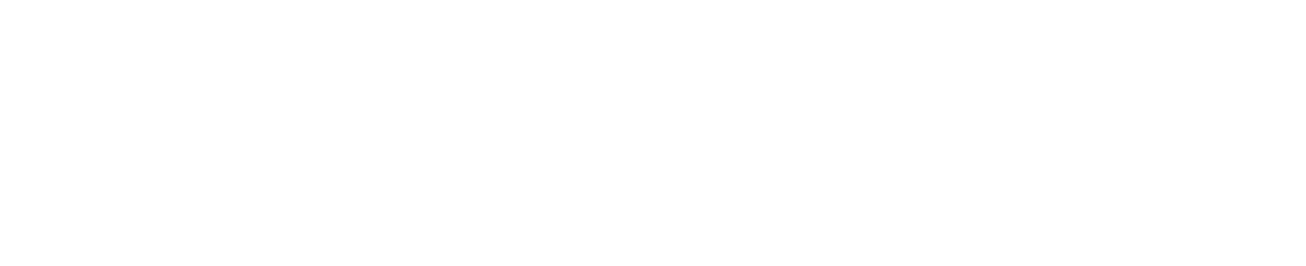 Logo Whaticket Partner